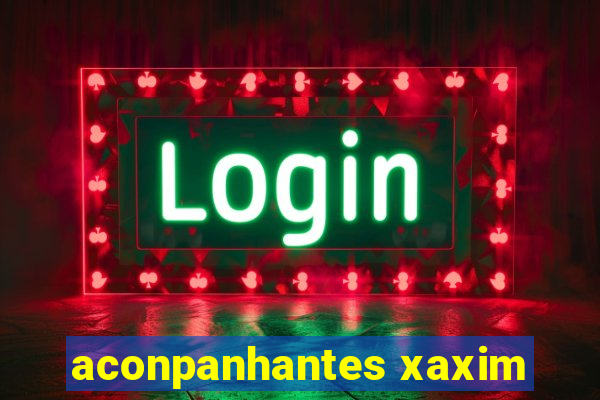 aconpanhantes xaxim